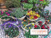 Marché aux plantes et fleurs à Argenteuil 2023: Découvrez la Vallée aux plantes et aux fleurs