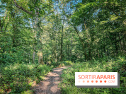 Les Nuits des Forêts 2023 dans le Val-d'Oise (95) : Le programme
