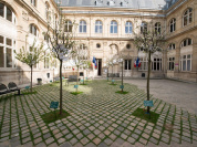 Un verger à la mairie du 4e