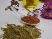 BioCoiff, la coiffure se met au vert