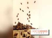 Céramix, l'exposition au Musée de la Céramique et à la Maison Rouge