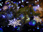 Noël 2025 : un atelier DIY pour créer sa propre fleur de Noël artisanal à Saint-Maure-des-Fossés (94)