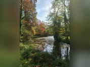 Découvrez le jardin privé d'un centre spirituel à Versailles pour les Rendez-Vous aux Jardins 2026
