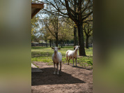 Rendez-Vous aux Jardins 2026 au parc des 33 hectares à Neuilly-sur-Marne