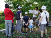 Rendez-Vous aux Jardins 2026 : balade sensorielle en famille dans un jardin pédagogique des Hauts-de-Seine