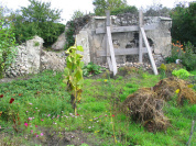 Connaissez-vous l'histoire des murs à pêches ? Voici pourquoi ce site est classé Jardin Remarquable
