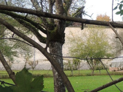 Longtemps laissé à l'abandon, ce château d'Île-de-France devrait rouvrir avec des espaces immersifs