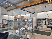 À Bures-sur-Yvette, des visites du musée de minéralogie pour les Journées du Patrimoine 2026