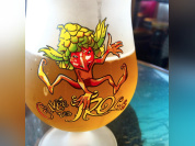 La Tête à L'Envers : le tour du monde de la bière