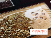 Vente aux Enchères Christian Bernard