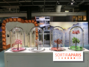 Froid à la Cité des Sciences