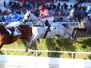 Grand Steeple-Chase de Paris 2020 à l'Hippodrome d'Auteuil 