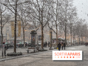 La Neige à Paris - IMG 2832