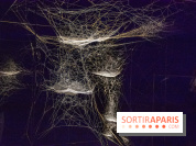 Base de données LaurentP