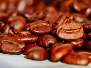 Le salon Paris Coffee Show 2022 au Parc Floral