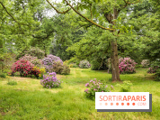 L'Arboretum de Versailles - Chevreloup