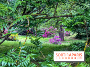 L'Arboretum de Versailles - Chevreloup