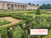 Jean Cotelle, l'exposition au Grand Trianon de Versailles
