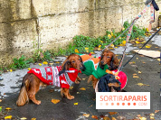 Paris Sausage Walk 2023 : la marche des teckels de retour dans la capitale, pour la bonne cause !