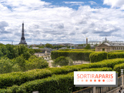 visuel Paris visuel  - Tuileries - tour eiffel