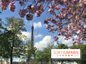 Visuel Paris, Tour Eiffel printemps