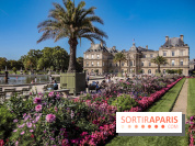 Visuel Paris Jardin du Luxembourg