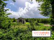 Visuel Paris balade forêt île de france