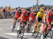 Tour de France : jaune, vert, à pois... Que représentent les différents maillots ?
