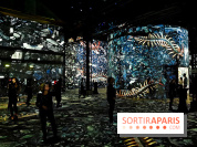 Immersive Art Festival 2019 à L'Atelier des Lumières à Paris