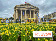 Une Jonquille pour Curie au Panthéon