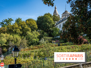 Montmartre Paris - fete des vendanges