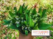 Muguet