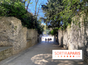 Les Arènes de Lutèce à Paris