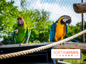 Parrot World, le parc animalier immersif d'Île-de-France