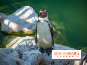 Parrot World, le parc animalier immersif d'Île-de-France