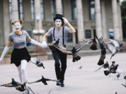 PRIMO, festival gratuit et itinérant de spectacles de rue entre le Val-d'Oise et la Seine-et-Marne