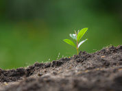 Salon Marjolaine 2024, le salon incontournable du Bio au Parc Floral de Paris