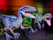 dinosaure lego montreuil