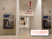 Venus d'ailleurs, matériaux et objets voyageurs