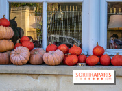 citrouille halloween légumes visuel actualités