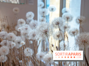 Le Musée Guimet propose une Carte blanche à Duy Anh Nhan Duc