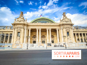 Visuels musée et monument - Grand Palais travaux