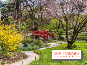 Les jardins du Musée Albert Kahn, nos photos