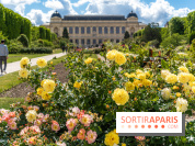 Photos La roseraie du Jardin des Plantes