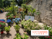 Jardins jardin aux Tuileries 2022