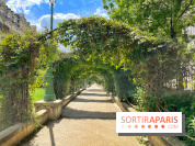 Balade sur la Petite Ceinture du 17e : la promenade Pereire