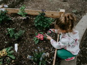 visuel jardinage