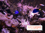 Vacances de Pâques 2019 à Sea Life Paris : invitations