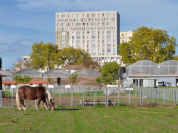 Ferme Sartrouville