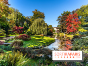 Le Jardin japonais du Château de Courances